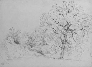 Jean-Achille Benouville - Un paysage avec des rochers au fond et un arbre au premier plan