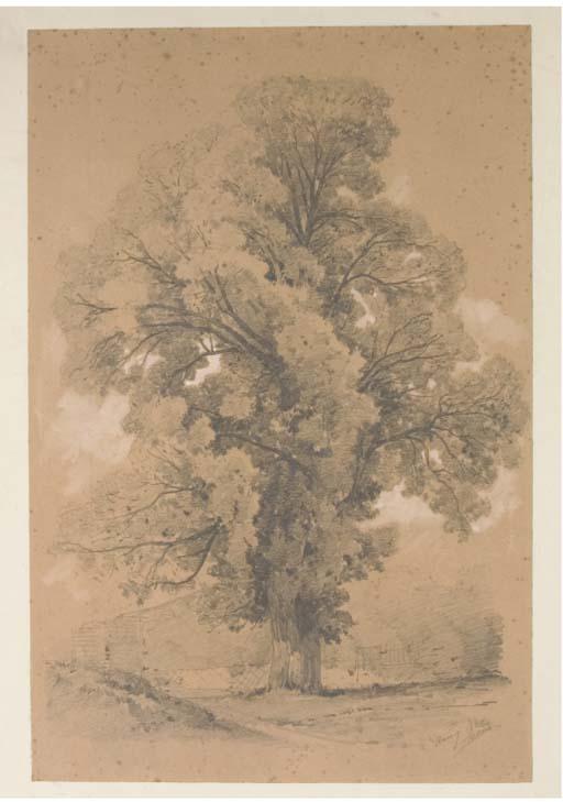 Jean-Alfred Morie - Arbre de Raincy