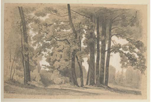 Jean-Alfred Morie - Un sous-bois