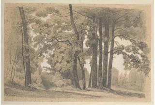 Jean-Alfred Morie - Un sous-bois