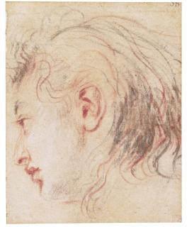 Jean Antoine Watteau - Head Of A Young Man, In Profile, Turned To The Left