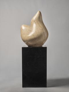 Jean Arp - Larme de galaxie
