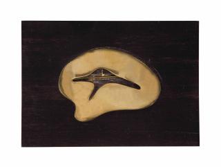 Jean Arp - Untitled (Brooch)