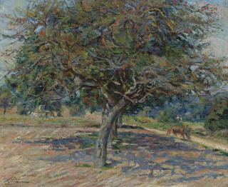 Jean-Baptiste-Armand Guillaumin - Arbres En Île-De-France