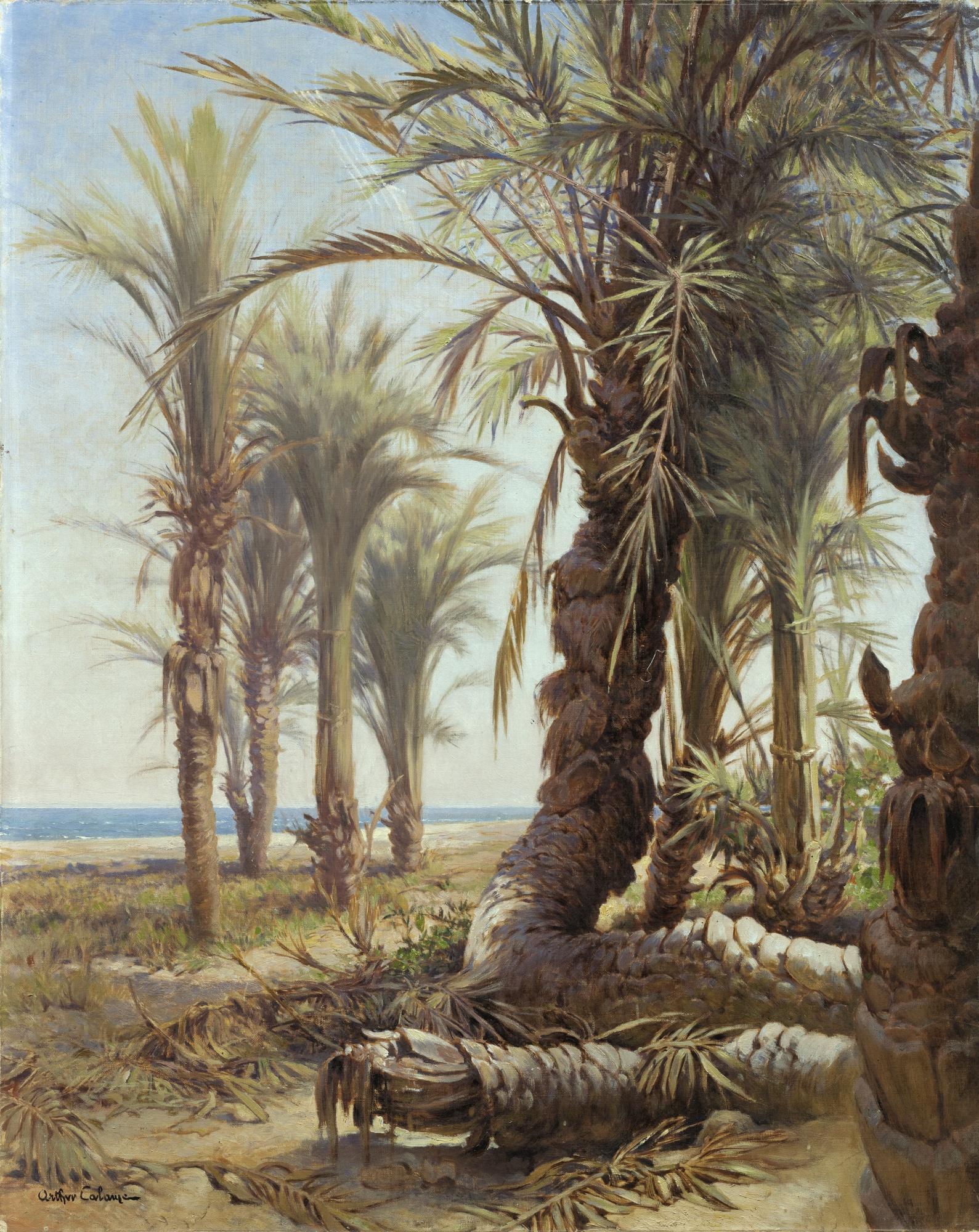 Jean-Baptiste-Arthur Calame - Palmiers De Bordighera