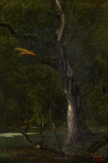 Jean-Baptiste-Camille Corot - Un arbre mort sous bois