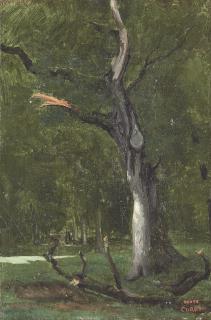 Jean Baptiste Camille Corot - Un arbre mort sous bois