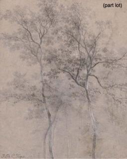 Jean-Baptiste-Charles Kops - Study Of A Tree