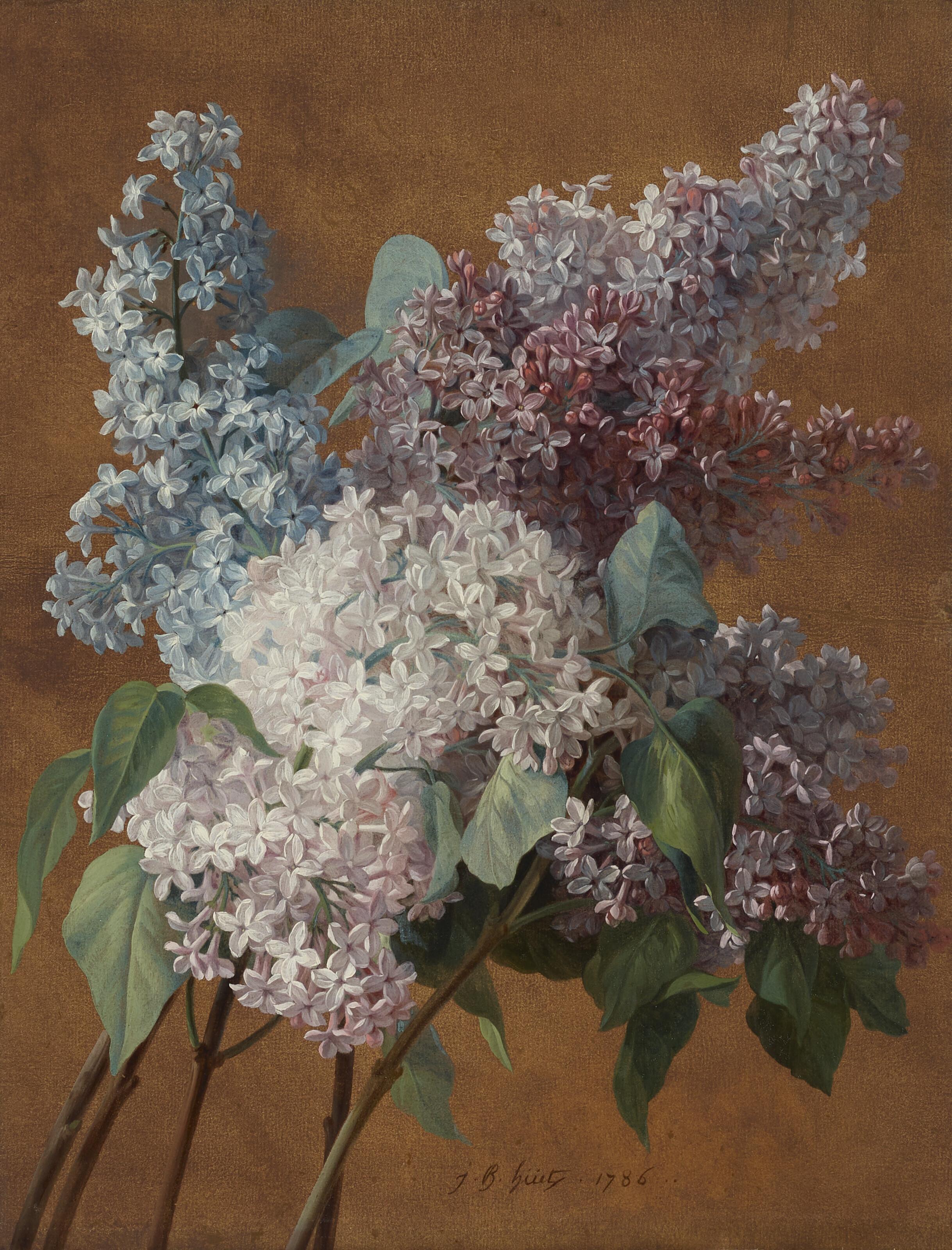 Jean-Baptiste Huet - A study of lilacs