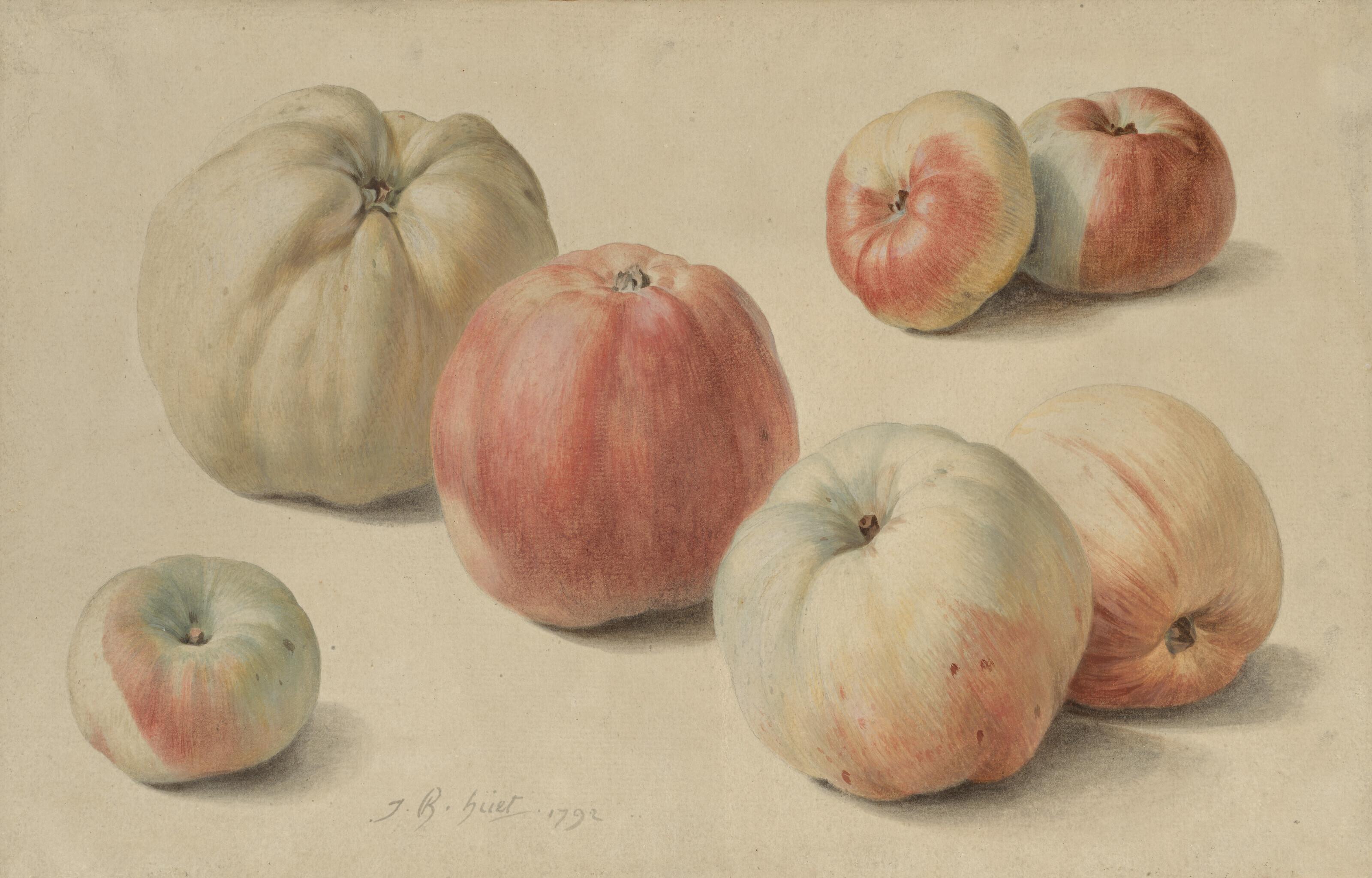 Jean-Baptiste Huet - Les Pommes