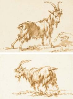 Jean-Baptiste Huet - Une chèvre de profil à droite; et Une chèvre de profil à gauche