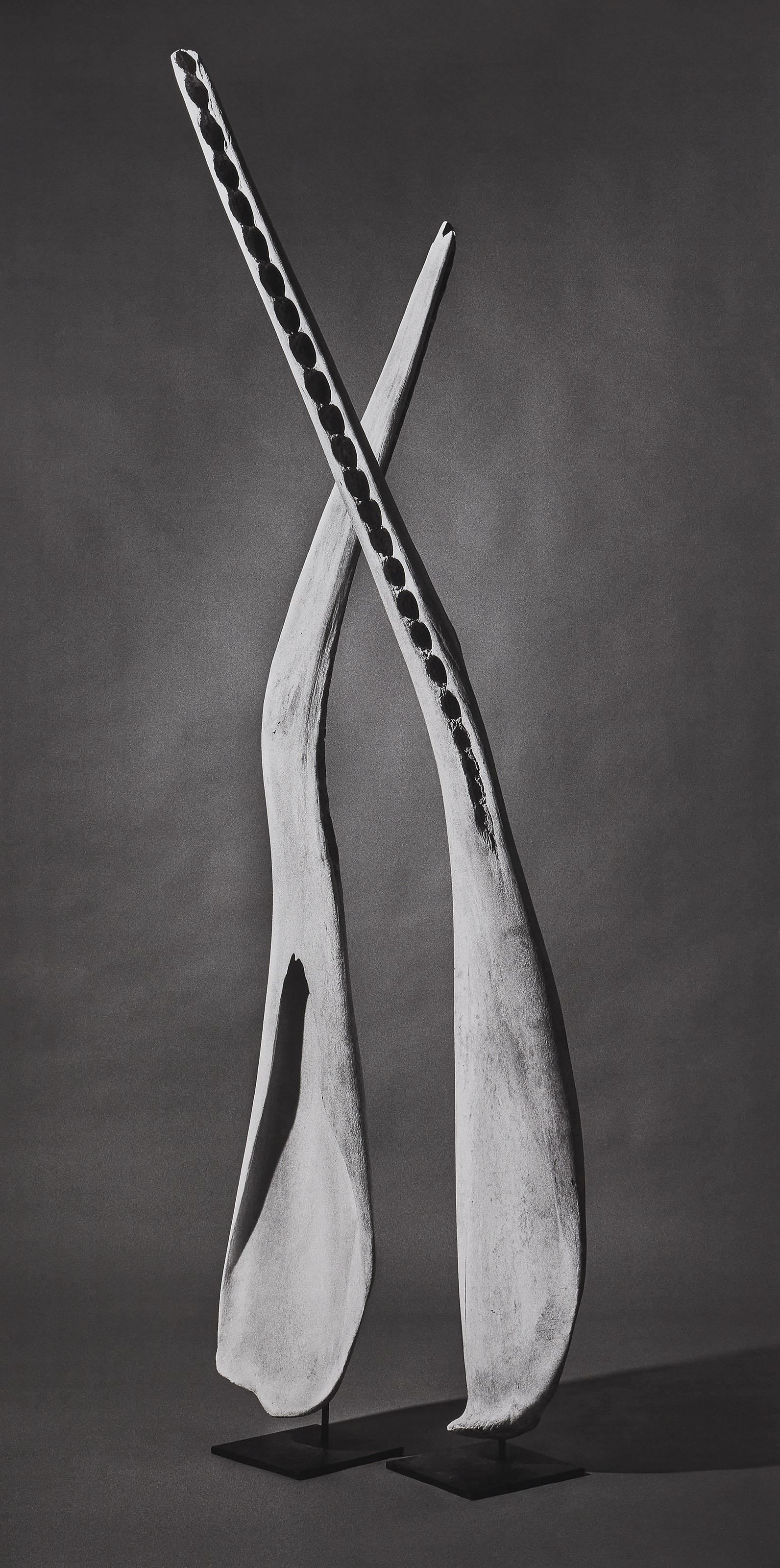 Jean-Baptiste Huynh - Mâchoire de cachalot, 2006