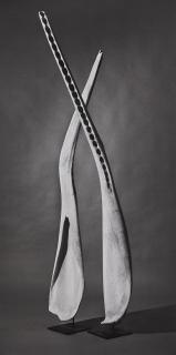 Jean-Baptiste Huynh - Mâchoire de cachalot, 2006