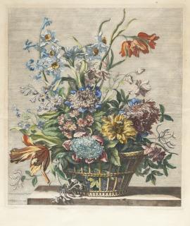 Jean-Baptiste Monnoyer - Korb mit Tulpen, Paeonien, Narzissen, Rittersporn und Primeln