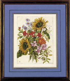 Jean-Baptiste Monnoyer - Livre de Toutes Sortes de Fleurs D\'Apres Nature: Eight Plates