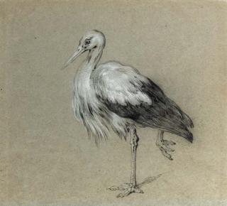 Jean-Baptiste Oudry - A stork standing on one leg