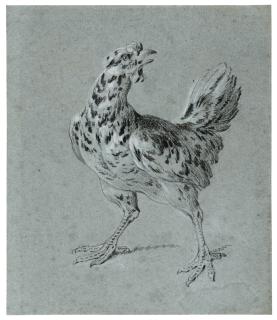 Jean-Baptiste Oudry - A Study Of A Hen