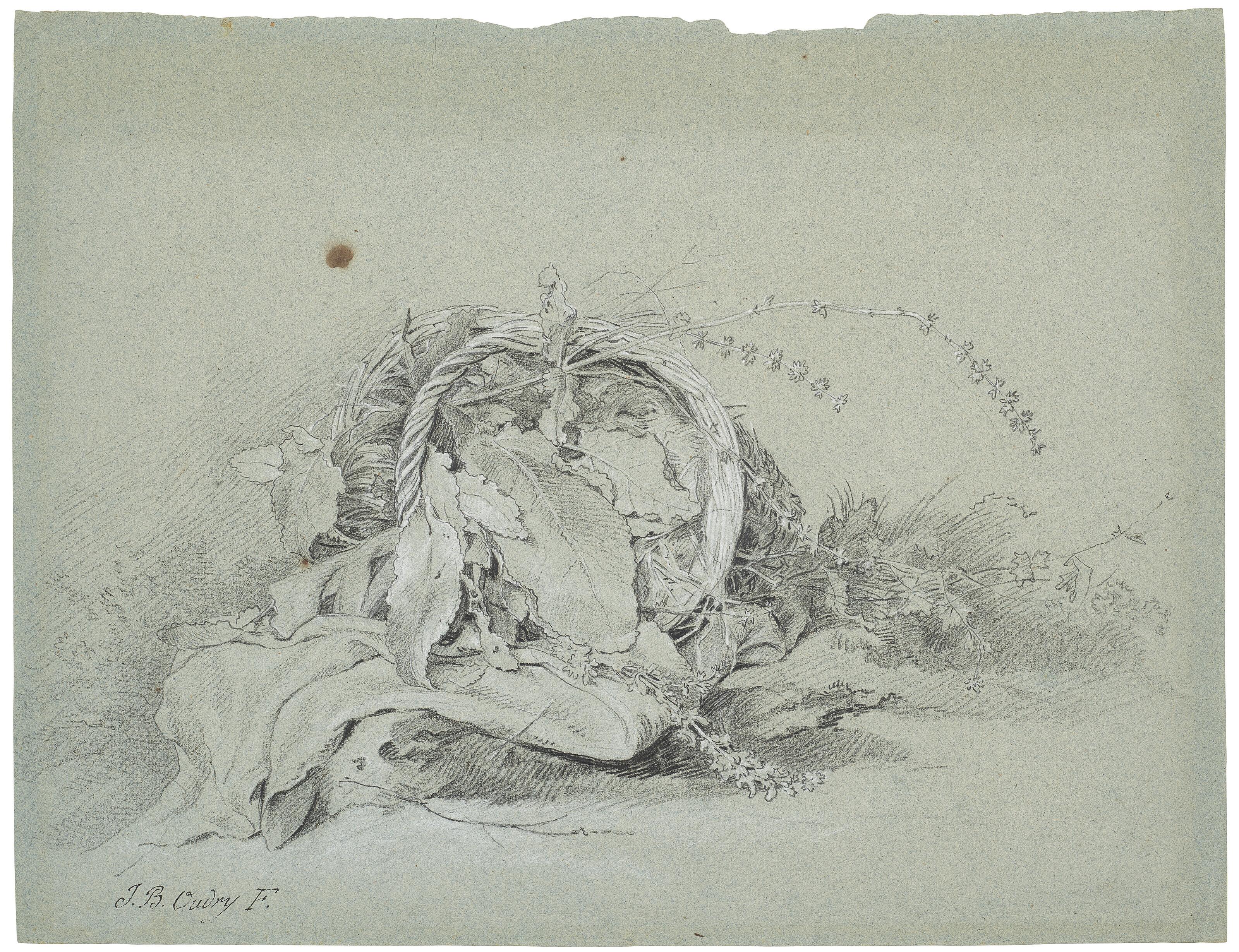 Jean-Baptiste Oudry - An overturned basket of plants and flowers