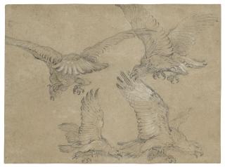 Jean-Baptiste Oudry - Four eagles