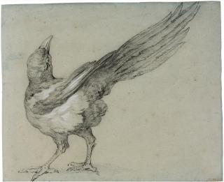 Jean-Baptiste Oudry - Krähe.