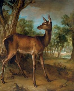 Jean Baptiste Oudry - The Watchful Doe (\'Biche aux Augets\')