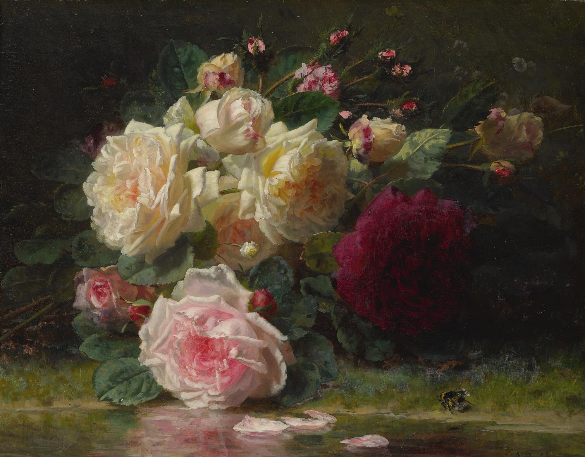 Jean-Baptiste Robie - Belgian roses