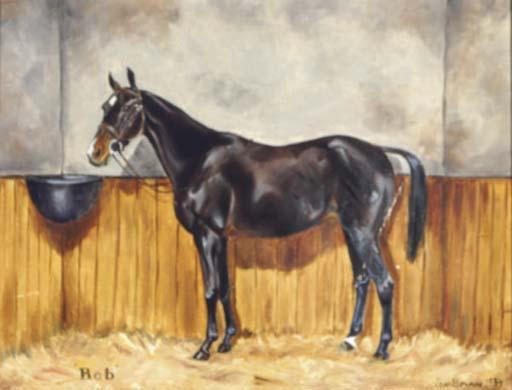 Jean Bowman - Black Stallion \'Bob\'