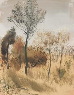 Jean Burkhalter - Paysage boisé