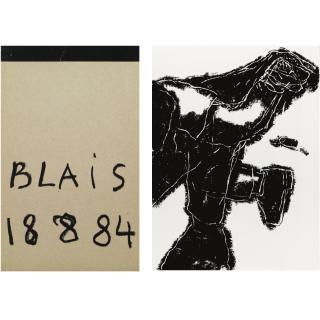 Jean-Charles Blais - \'Catastrophe Encore\'