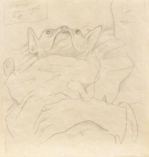 Jean Cocteau - Portrait de Mousco, le chien de Jean Hugo