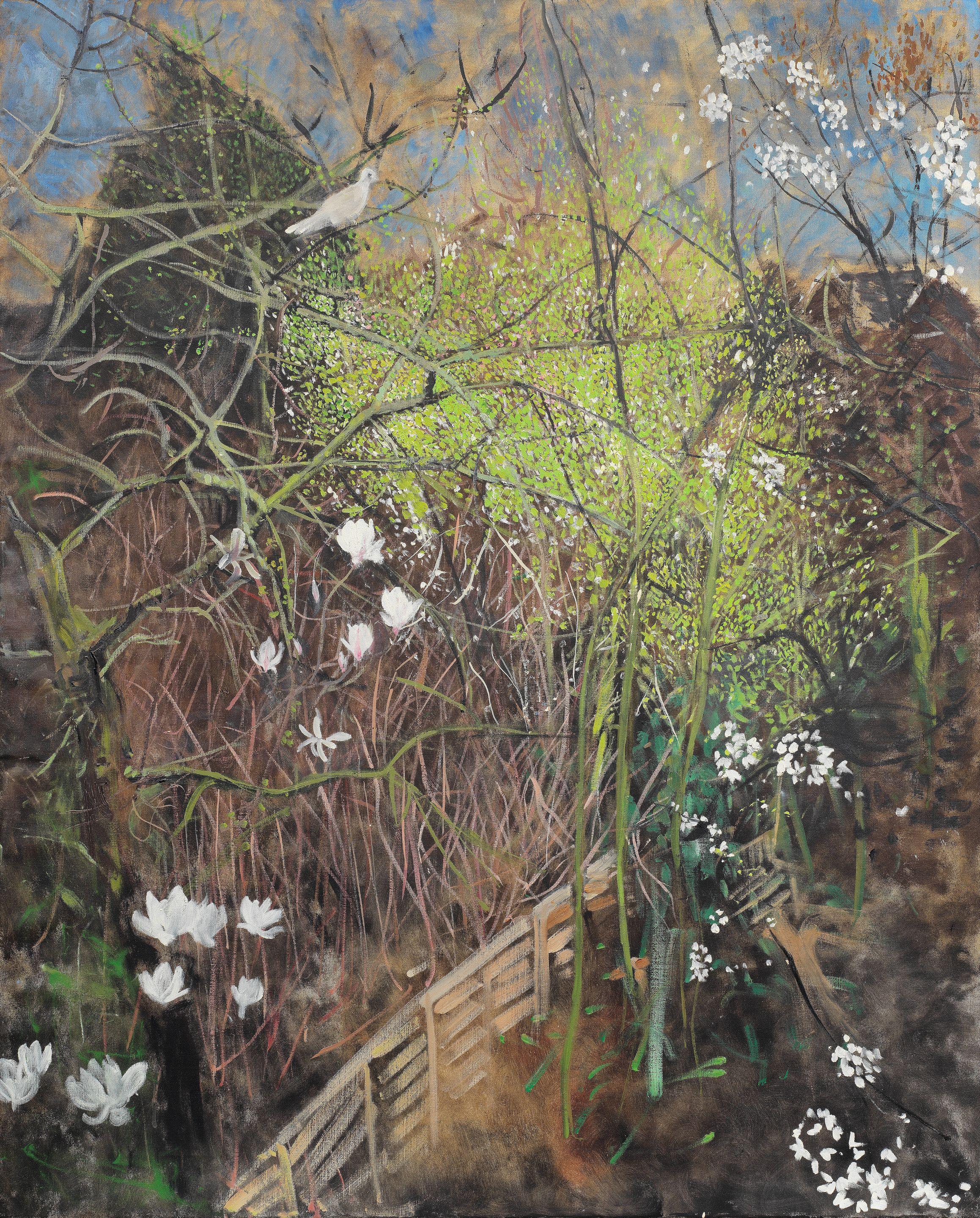 Jean Cooke R.A. - The Wild Plum Tree