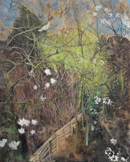 Jean Cooke R.A. - The Wild Plum Tree