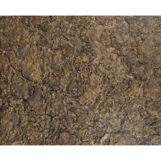 Jean Dubuffet - La Vie Sans L\'Homme I