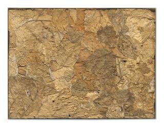 Jean Dubuffet - Sol etoilé