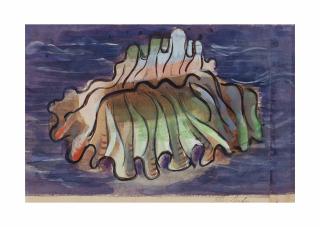 Jean Dufy - Coquille
