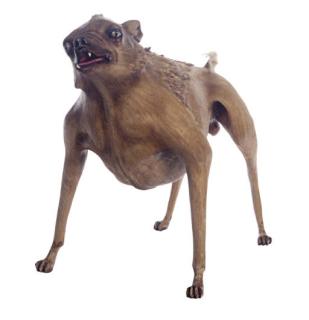 Jean-François Fourtou - Gustavo (Devil Dog)