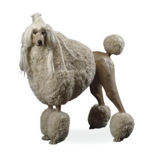 Jean-François Fourtou - White Poodle