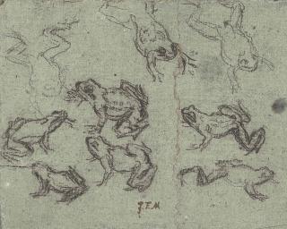 Jean-Francois Millet - Etudes de grenouilles