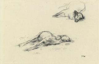 Jean-François Millet - French study Of Two Shorn Sheep