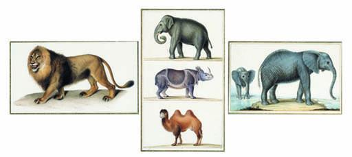 Jean-Gabriel Pretre - Deux éléphants d\'Afrique - Two African Elephants [1] Lion - Lion [2], only the first signed \