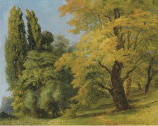 Jean Henri Zuber - Chemin Dans La Forêt