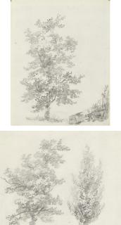 Jean-Honoré Fragonard - Studies of trees (recto and verso)