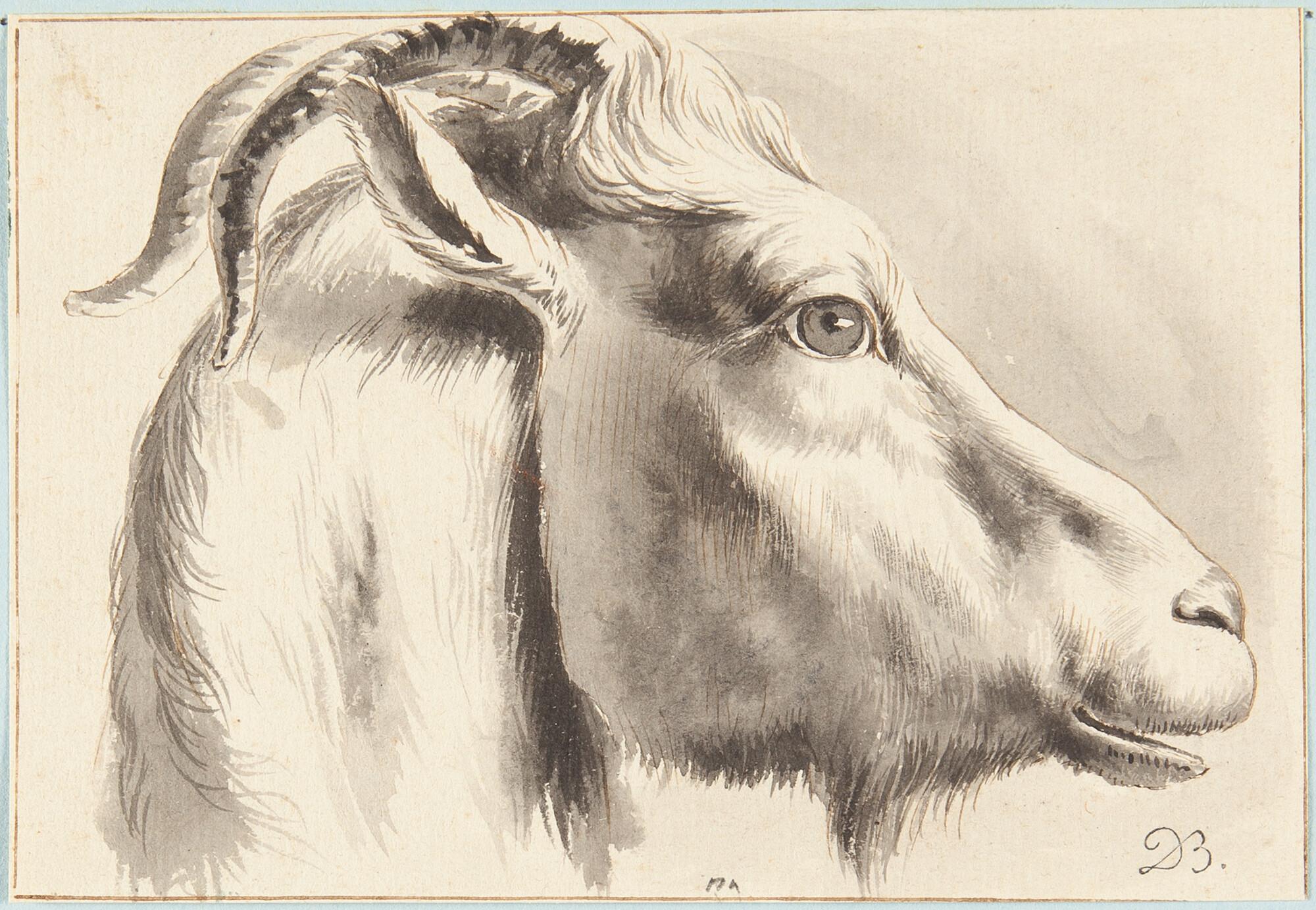 Jean Jacques de Boissieu - Kopf eines Widders