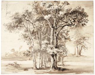 Jean-Jacques De Boissieu - Study Of A Clump Of Trees