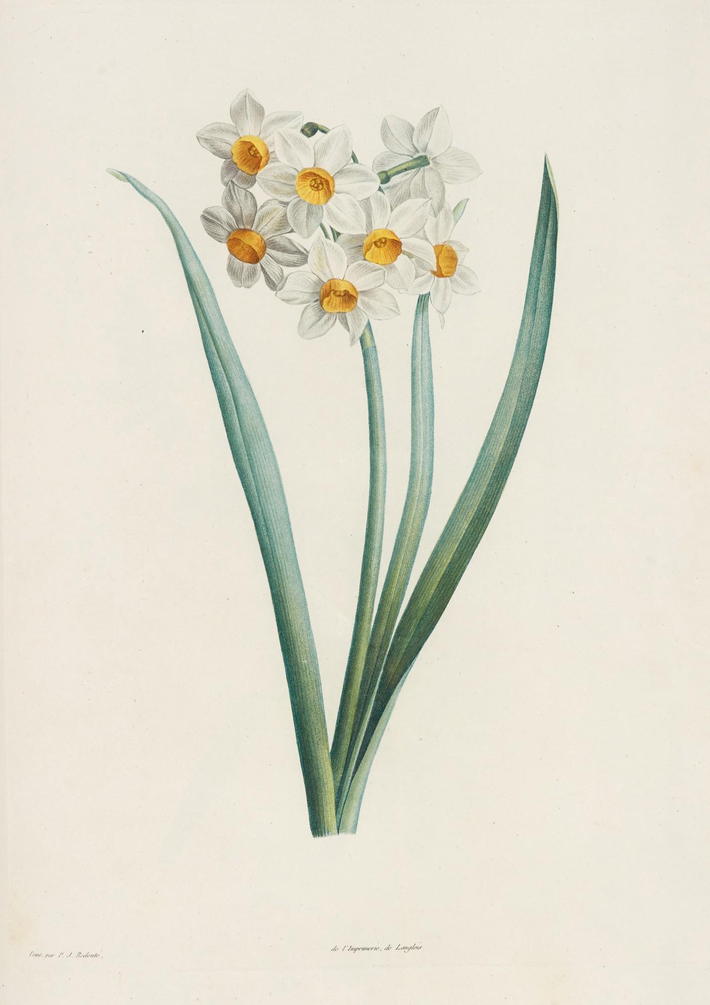 Jean-Jacques Rousseau - La botanique, Paris, 1805