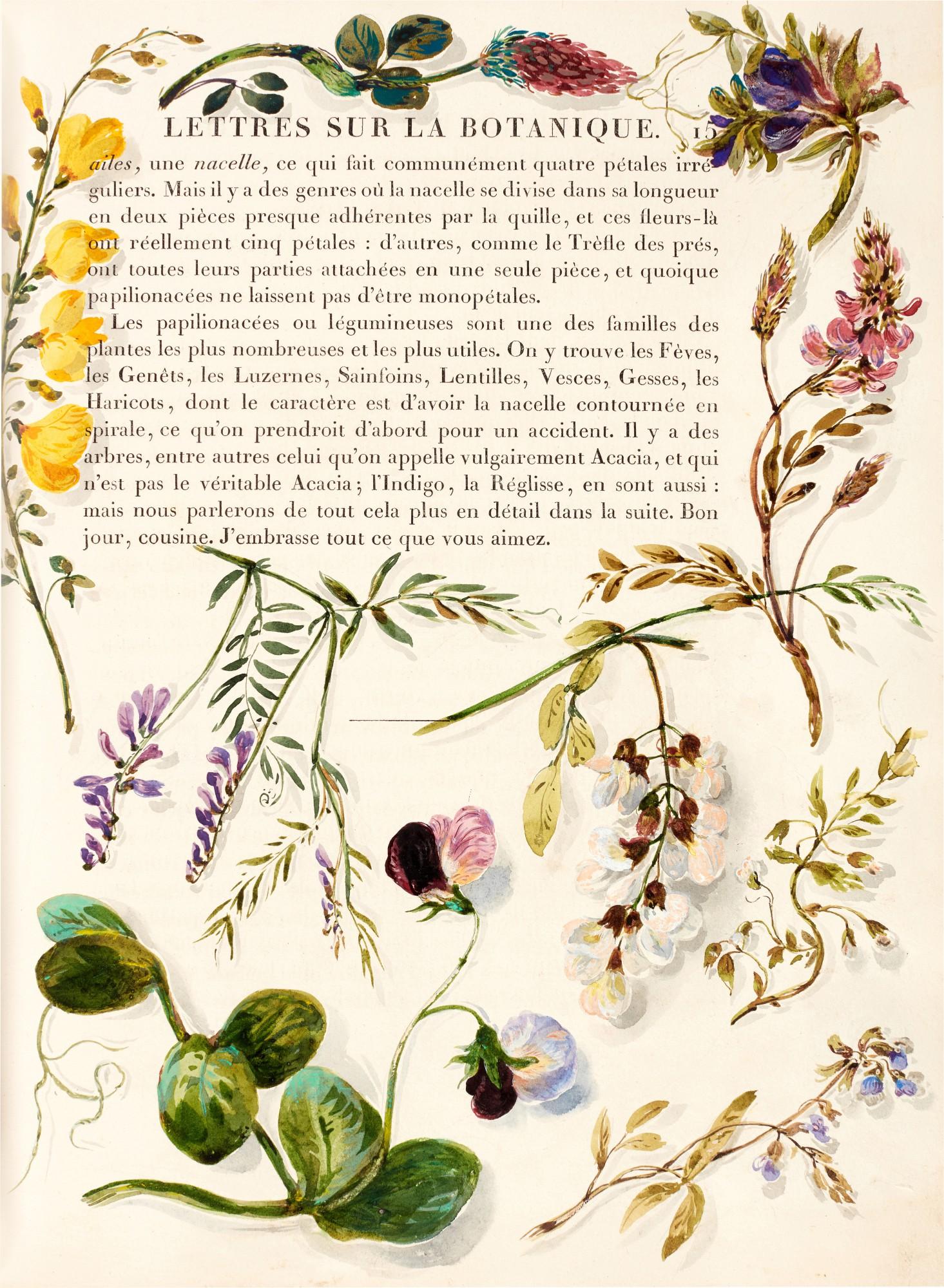 Jean-Jacques Rousseau - La Botanique, Paris, 1821, with additional watercolour illustrations, the Hoe copy