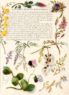 Jean-Jacques Rousseau - La Botanique, Paris, 1821, with additional watercolour illustrations, the Hoe copy