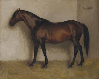 Jean-Léon Gérôme - Dollar, a Bay Hunter in a loose Box