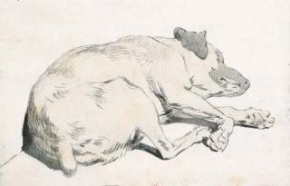 Jean-Louis-André-Théodore Gericault - A Sleeping Dog