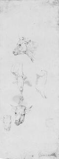 Jean-Louis-André-Théodore Gericault - Three Studies Of Cow\'S Heads, With Studies Of The Foreleg And Haunch